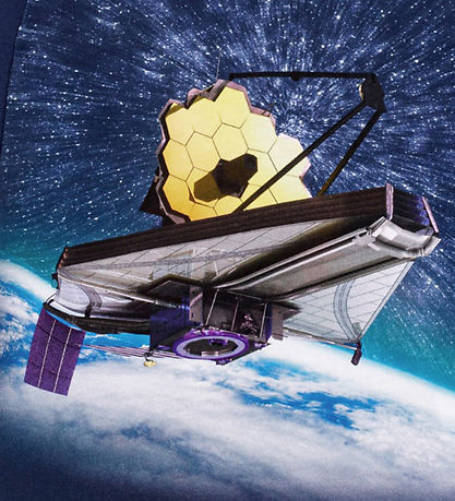 Molo Bluse - Reif - Telescope