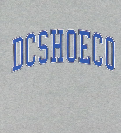 DC T-shirt - Varsity - Grå