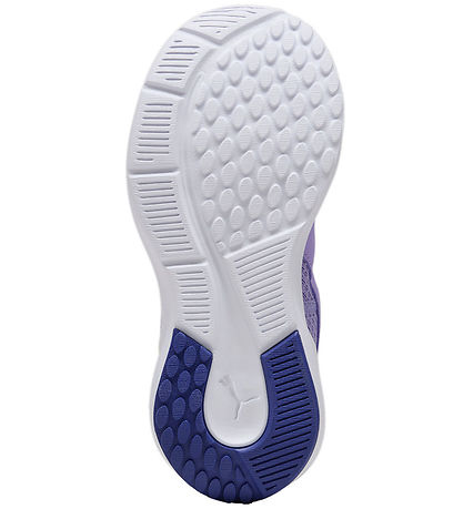 Puma Sko - Kruz Profoam SLIPTECH PS - Lavender Alert/Lapis Lazul