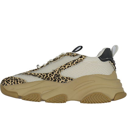 Steve Madden Sko - PossessionL-E - Leopard Multi