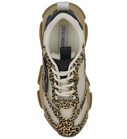 Steve Madden Sko - PossessionL-E - Leopard Multi