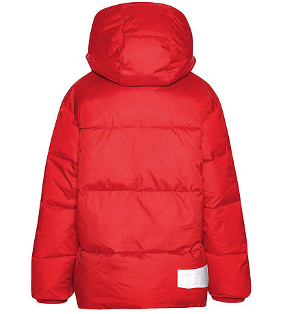 Molo Puffer Jacket - Hilo - Adrenaline Rush