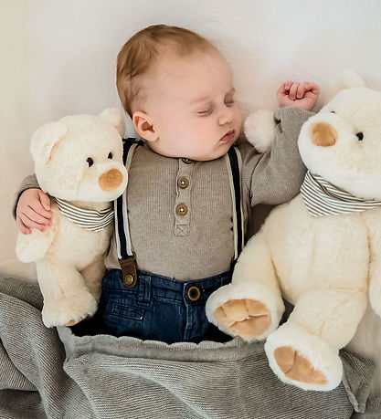 Teddykompaniet Bamse - Malte - 25 cm - Creme