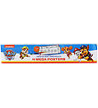 Alvilda Posters - Paw Patrol Box w. 4 Giant Posters