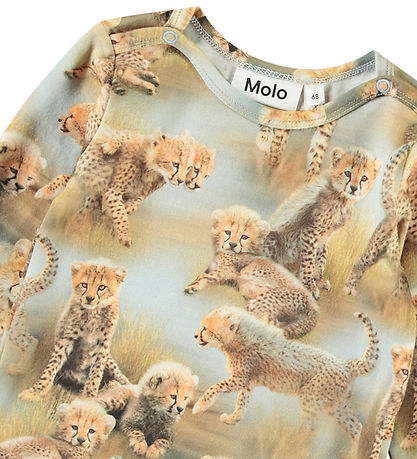 Molo Body l/æ - Foss - Cheetah Cubs