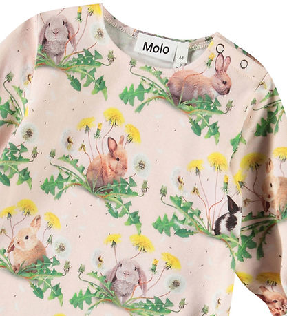 Molo Heldragt - Florina - Bunnies United