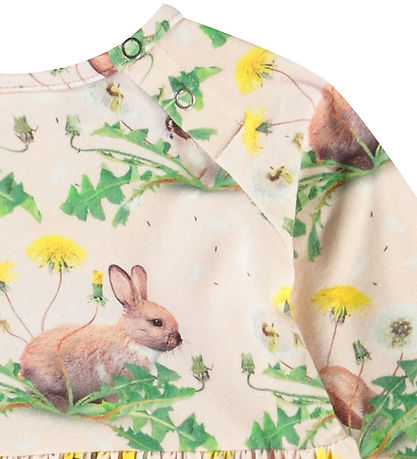 Molo Kjole - Charmine - Bunnies United