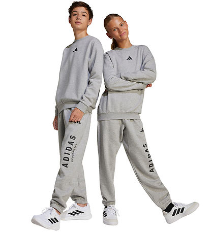 adidas Performance Sweatshirt - J ALLSZN GFX - Mgreyh/Sort