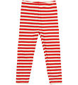 The New Siblings Leggings - Rib - TnstFro - Poppy Red Striped