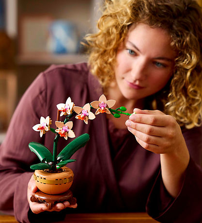 LEGO® Botanicals - Mini-Orkidé 10343 - 274 Dele