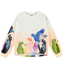 Molo Bluse - Reniza - Group Of Parrots