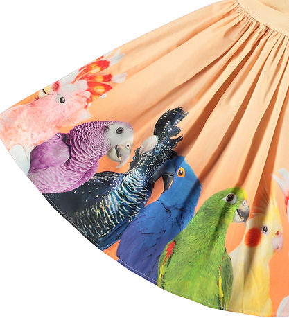 Molo Kjole - Rib - Cissa - Rainbow Parrots m. Print