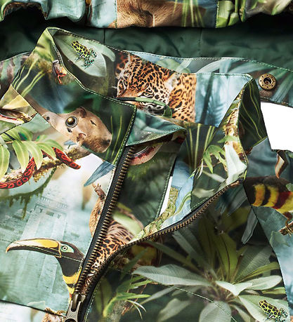 Molo Sommerjakke - Hoplas - Jungle Life