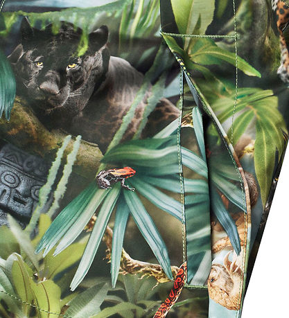 Molo Sommerjakke - Hoplas - Jungle Life