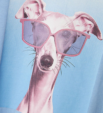 Name It T-shirt - NkfVotea - Serenity/Dog