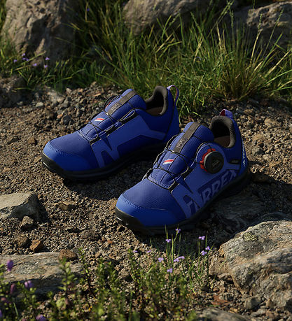 adidas Performance Sko - Terrex Agravic Boa - Selubl/Ftwwht/Seco