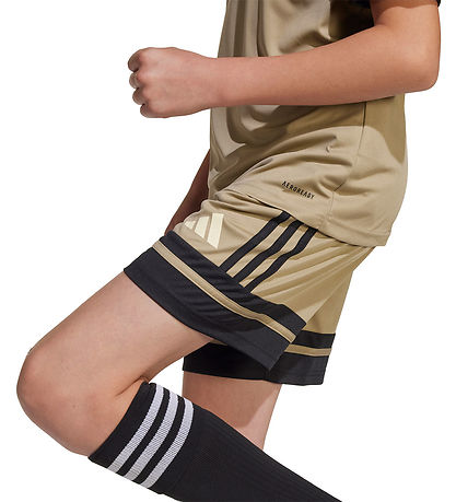 adidas Performance Sporthorts - SQUA25 - Blacar/Sort/Warvan