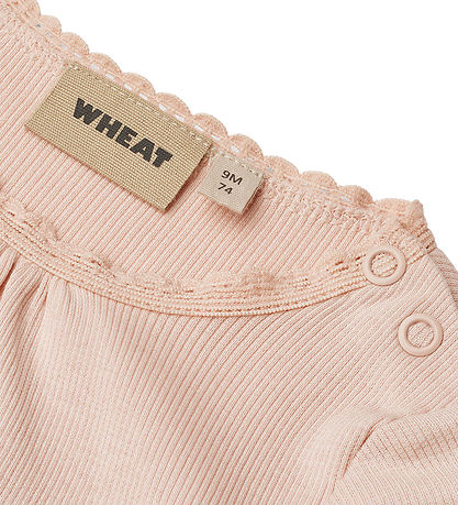 Wheat Body l/æ - Rib - Lotta - Powder