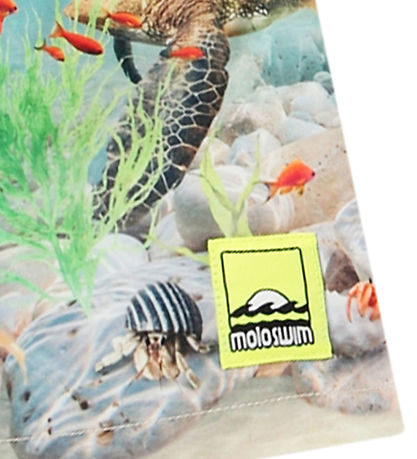 Molo Badeshorts - UV50+ - Niko - Happy Ocean