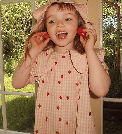 Flöss Kjole - Dolly - Pink Berry Gingham