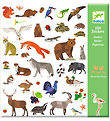Djeco Klistermærker - 160 stk - Fauna