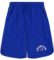 Champion Shorts - Blå