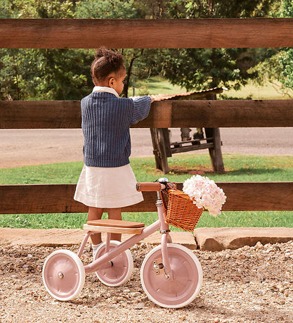 Banwood Trehjulet Cykel - Trike - 3-6 År - Dustypink