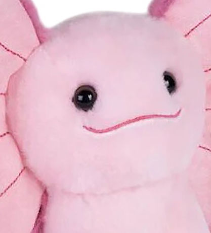 Wild Republic Bamse - 22 cm - Earkins Axolotl