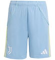 adidas Performance Shorts - Juventus - Ashblu