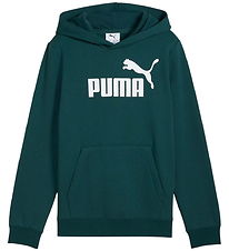 Puma Hættetrøje - Green Terrain m. Logo