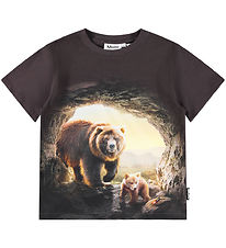 Molo T-shirt - Riley - Cave Bears