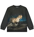 Molo Bluse - Rube - Cheetah Run