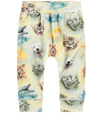 Molo Trousers - Sammy - Smiling Cubs