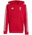 adidas Performance Hoodie - Liverpool FC - Strawberry Ed