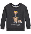 Polo Ralph Lauren Sweatshirt - Classics - Grå m. Bamse