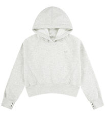 Abercrombie & Fitch Hættetrøje - Lysegråmeleret