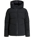Jack & Jones Pehmustettu takki - JjGlobal - Musta