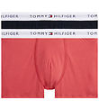 Tommy Hilfiger Boxershorts - 2-pak - Frosted Cranberry/Desert Sk