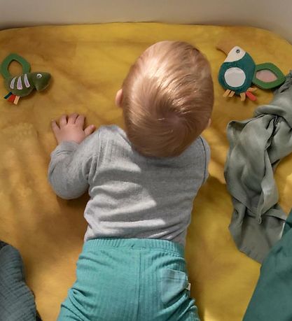 Sebra Aktivitetsrangle - Mini - Kamæleonen Carley