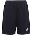 adidas Performance Shorts - Entrada 22 - Sort