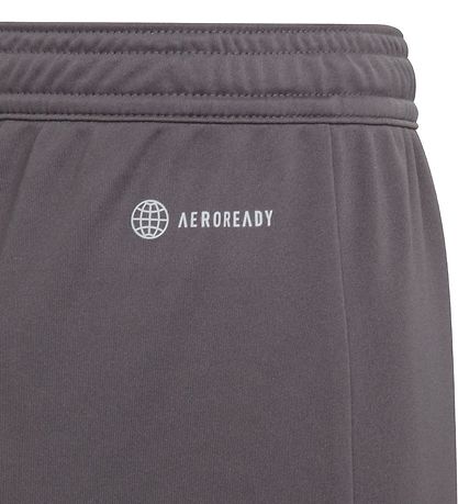 adidas Performance Shorts - Entrada 22 - Grå