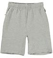 Molo Shorts - Axon - Grey Melange