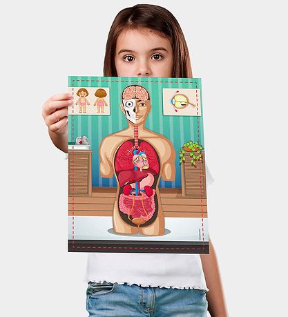 Liniex Science4you Sæt - Human Body