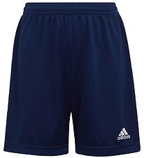 adidas Performance Shorts - ENTRADA 22 - Blå