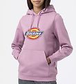 Dickies Hættetrøje - Icon Logo - Purple Rose
