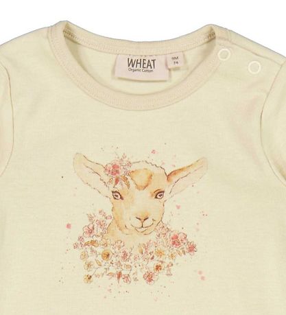Wheat Body k/æ - Flower Lamb - Clam