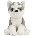 Living Nature Bamse - 17x7 cm - Husky Hundehvalp - Grå/Hvid