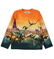 Molo Bluse - Mountoo - Dino Planet