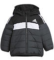 adidas Performance Vadderad jacka - IN F PAD JKT - Svart/Vit