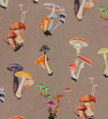 Molo Body l/æ - Foss - Mini Fungi